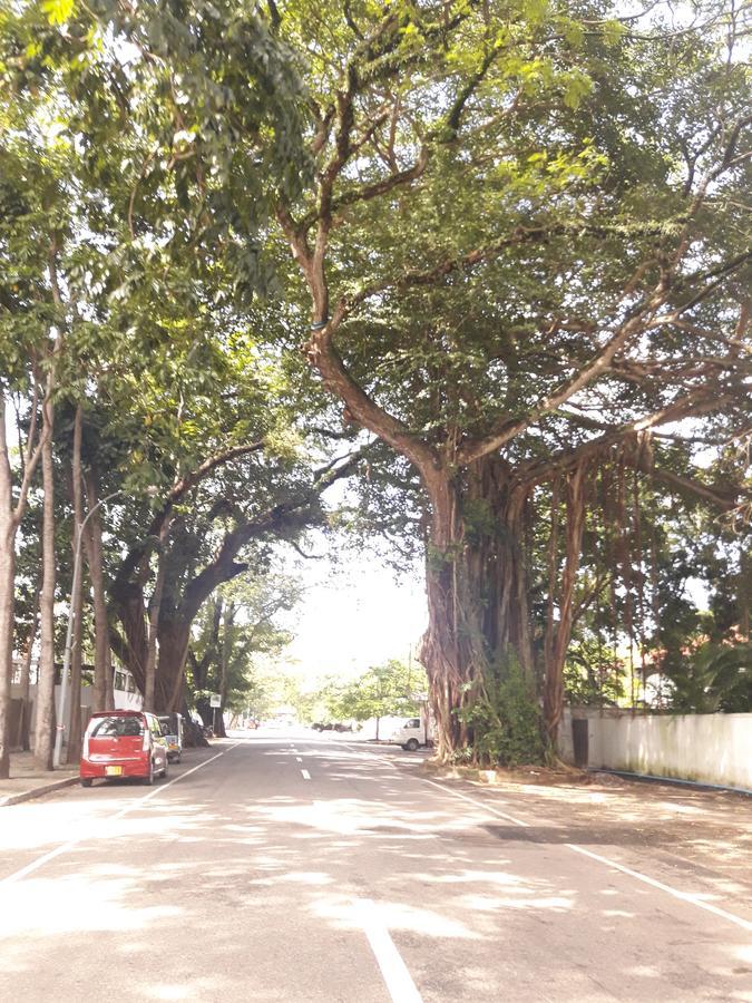Hotel Mrs Pepperpots Colombo Exterior foto